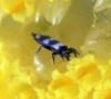 230712 – Photo : Isidro Martinez – Espagne
